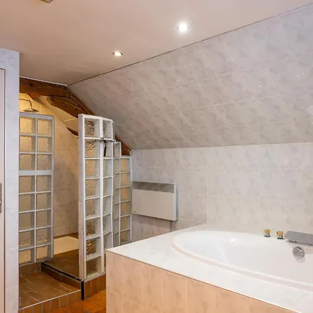 Grand Duplex En Plein Centre Cernay (Haut-Rhin)