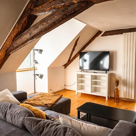 Apartment Grand Duplex En Plein Centre *