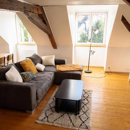 Apartment Grand Duplex En Plein Centre
