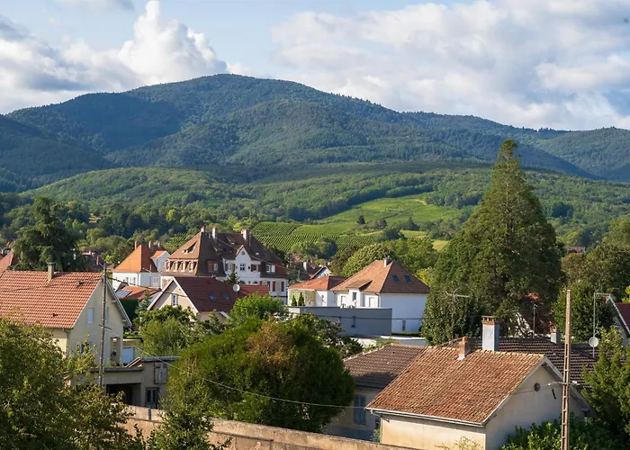 Grand Duplex En Plein Centre